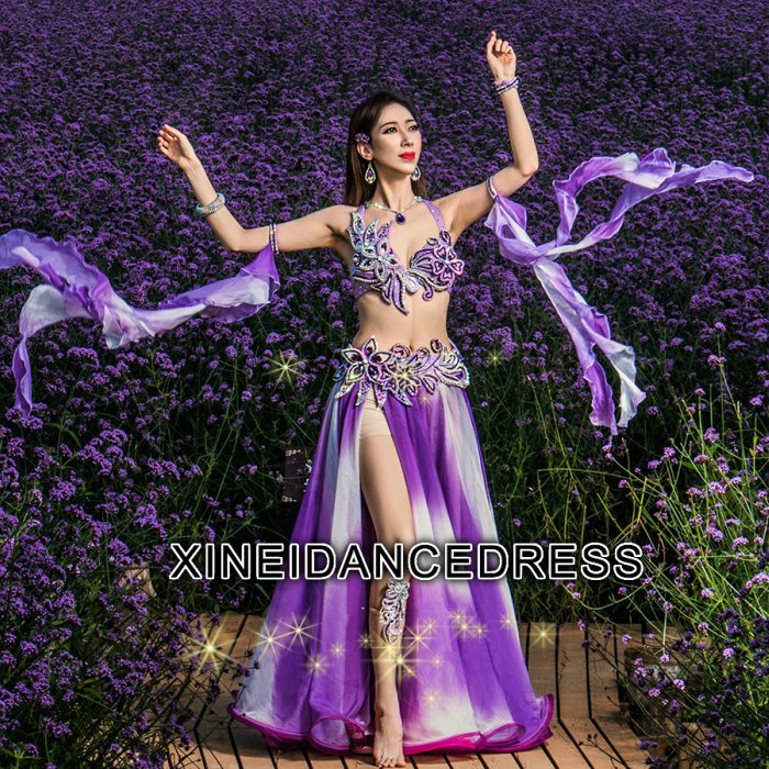 楽天市場】【受注生産・セミオーダー】ベリーダンス衣装 社交ダンス