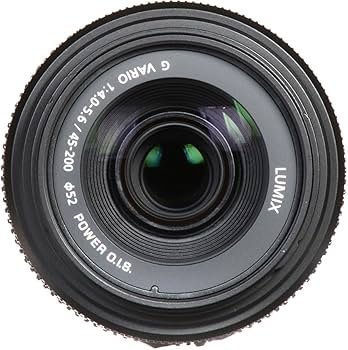 Amazon.com : Panasonic Lumix G II Vario Lens, 45-200mm, F4.0-5.6