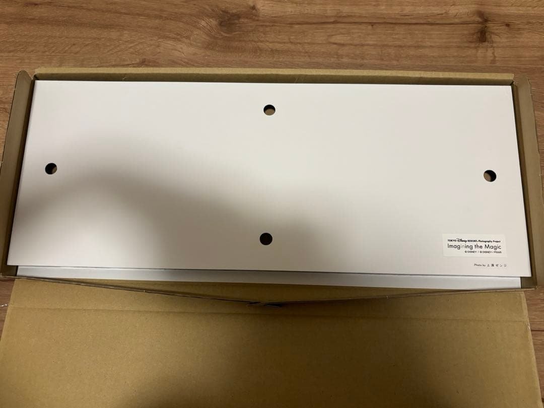 レア　ディズニー　イマジニングザマジック　アート　パネル　魚眼レンズ